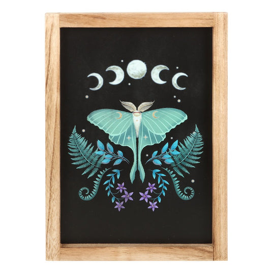 Luna Moth Framed Wall Art Print