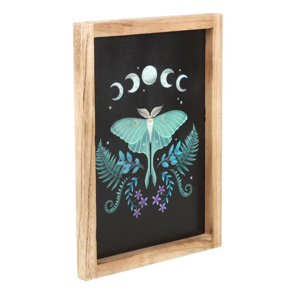 Luna Moth Framed Wall Art Print